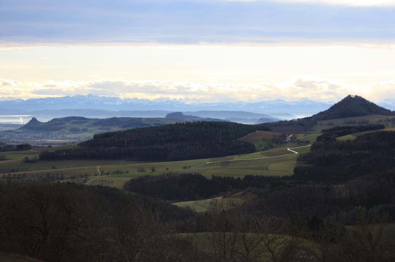 Ferienwohnung Fink Tengen Buitenkant foto